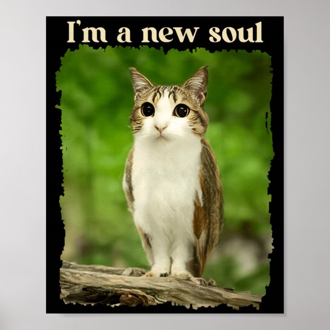 Funny Meowl Meme, Cat Owl Meme Brainrot Gen Alpha  Poster (Vorne)