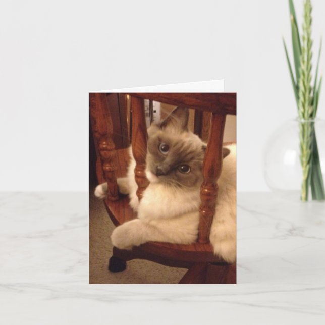 Funny mit einer Haltung Lumpenkatze Karte (Vorderseite)