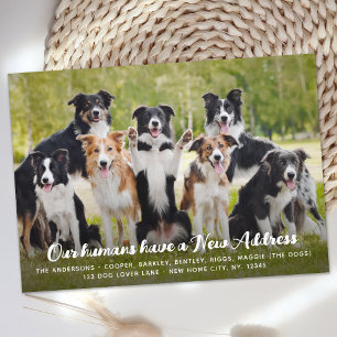 Funny Modern New Address Custom Pet Dog Foto Ankündigung
