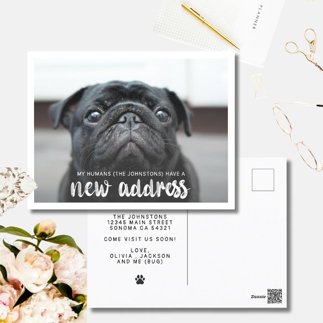 Funny Modern New Address Pet Dog Foto Postkarte (Von Creator hochgeladen)