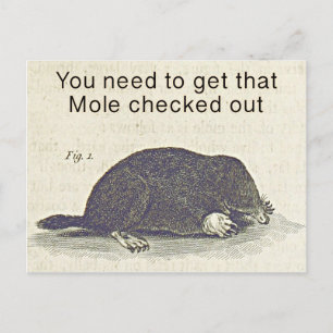 Funny Mole Carte de voeux, Humour d'anniversaire a