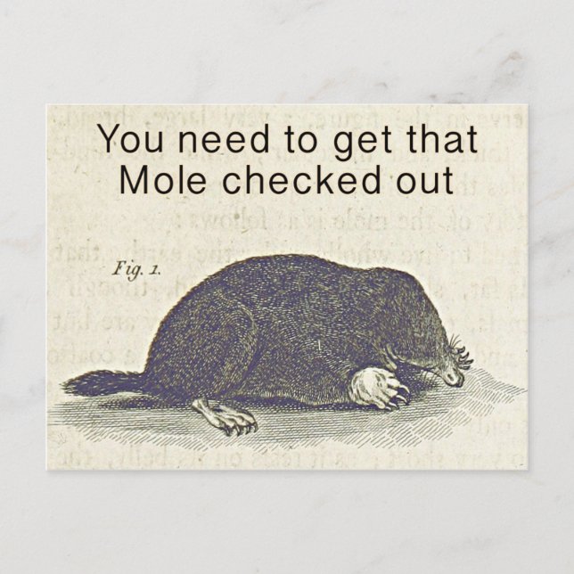 Funny Mole Carte de voeux, Humour d'anniversaire a (Devant)