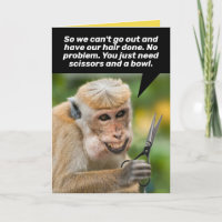 Funny Monkey mit einem schlechten Haar Cut Shelter
