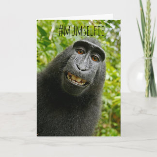 Funny Monkey Selfie Muttertagskarte Karte