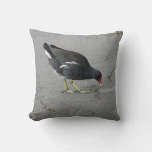 Funny Moorhen Nehmen Sie ein Bow Kissen