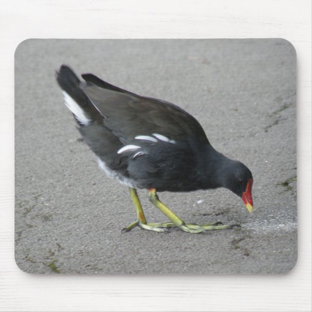 Funny Moorhen Nehmen Sie eine Bow Mousepad (Vorne)