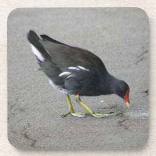 Funny Moorhen Nehmen Sie einen Bow Cork Untersetze Getränkeuntersetzer