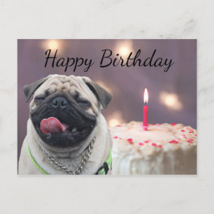 Funny Mops Geburtstag Postkarte