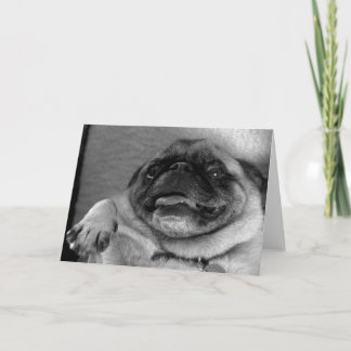 Funny Mops Grußkarte Karte