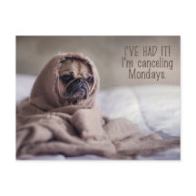 Funny Mops Hund Postkarte