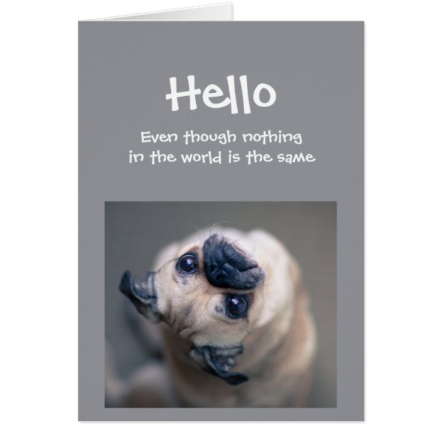 Funny Mops Hund soziale Distanz Hallo Hallo (Vorne)
