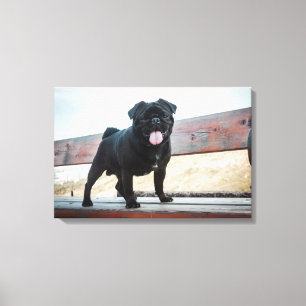Funny Mops Leinwanddruck