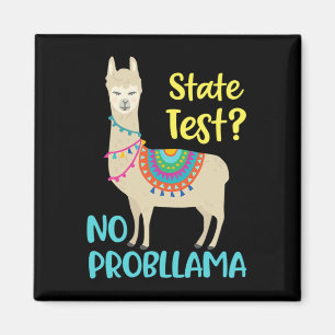 Funny Motivierend Staat Test Day Magnet
