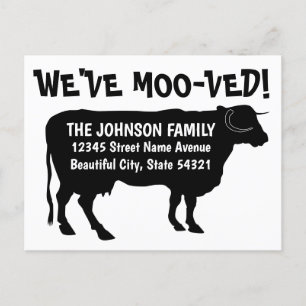 Funny Moving Kuh neue Adresse Wir haben mooved Bla Ankündigungspostkarte