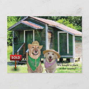 Funny New Address/Place in Country Postcard Ankündigungspostkarte