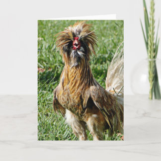 Funny Niedlich Bad Hair Day Rooster Karte