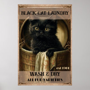 Funny niedlich Black Cat Wäsche Poster