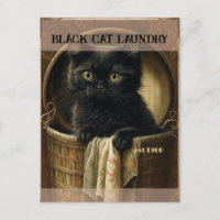 Funny niedlich Black Cat Wäsche