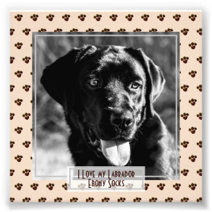 Funny Niedlich Black Labrador FOTO benannt Memoria
