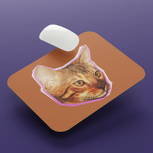 Funny Niedlich Cat Mixed Media Collage