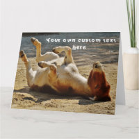 Funny Niedlich Cheeky Donkey Custom Happy Birthday