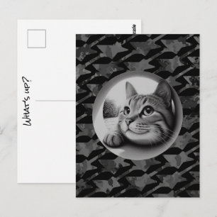 Funny Niedlich Cool Cat Was ist los Tiere Hallo Me Postkarte
