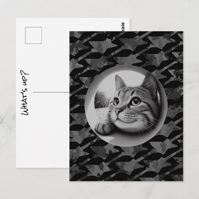 Funny Niedlich Cool Cat Was ist los Tiere Hallo Me Postkarte (Vorne/Hinten)