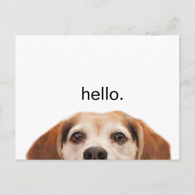 Funny Niedlich Dog Beagle Hallo Moderne Postkarte (Vorderseite)