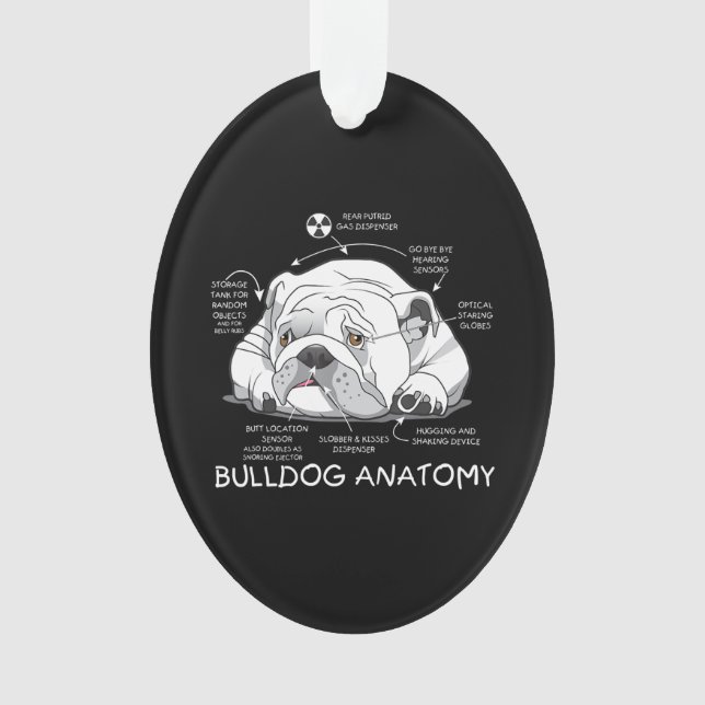 Funny Niedlich English Bulldog Anatomie Hunde Biol Ornament (Vorderseite)