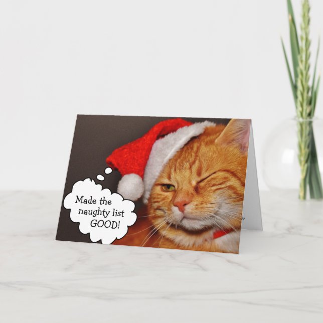 Funny Niedlich Frohe Weihnachts Weihnachtskatzenka Feiertagskarte (Vorderseite)