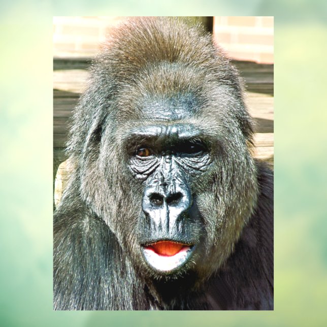 FUNNY NIEDLICH GORILLA FENSTERAUFKLEBER (Blatt 3)