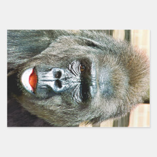 FUNNY NIEDLICH GORILLA GESCHENKPAPIER SET