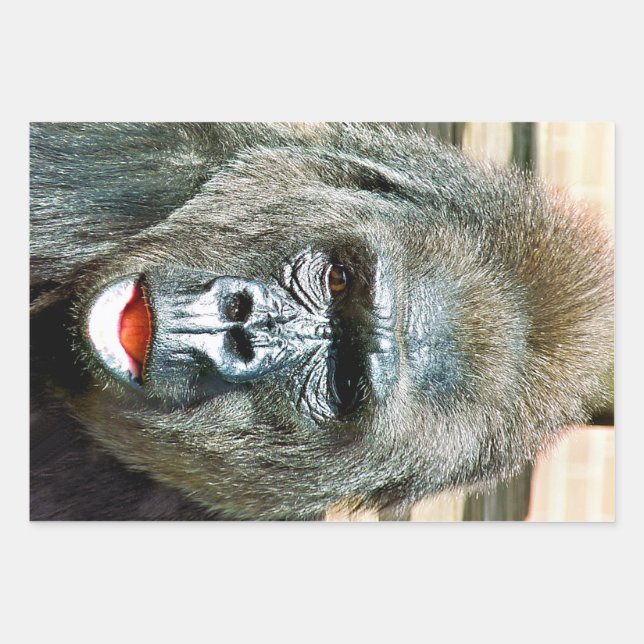FUNNY NIEDLICH GORILLA GESCHENKPAPIER SET (Vorderseite)