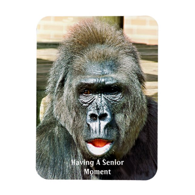 FUNNY NIEDLICH GORILLA MAGNET (Vertikal)