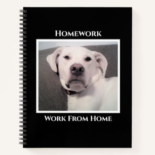 Funny Niedlich Grumpy White Dog Schwarze Hausaufga Notizbuch