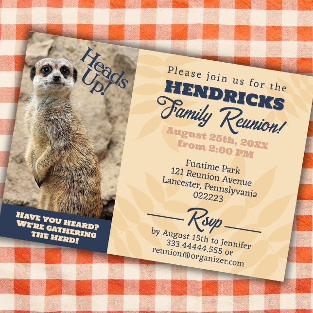 Funny, Niedlich Meerkat Family Wiedersehen Save th Einladung (Funny Family Reunion Invitation with Meerkat)