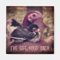 Funny Niedlich Mother Hen and Chick