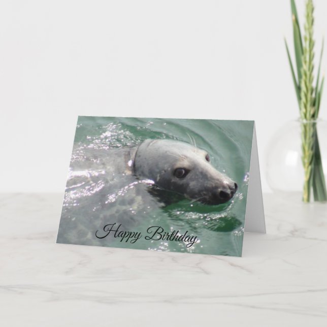 Funny Niedlich Siegel Happy Birthday Card Karte (Vorderseite)