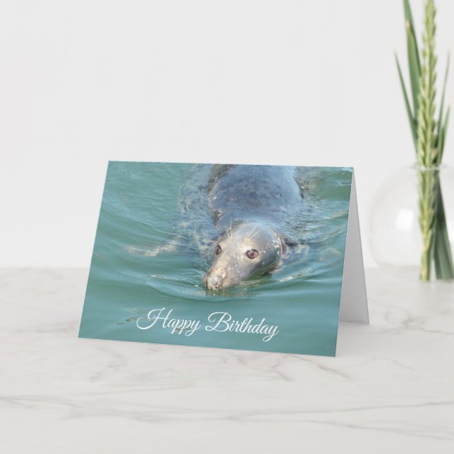 Funny Niedlich Siegel Happy Birthday Card Karte (Vorderseite)