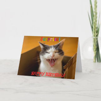 Funny Niedliche Katze in einer Box Geburtstagskart Karte