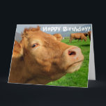 Funny Niedliche Kuh Happy Birthday Karte<br><div class="desc">Dieses Design zeigt ein lustiges Bild einer Kuh! Ideal für besondere Anlässe wie Geburtstage,  Jubiläen und mehr. Wenn Sie das Design durch Ändern der Nachricht,  des Alters oder des Schriftartes personalisieren möchten,  klicken Sie auf "Design bearbeiten".</div>