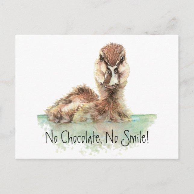 Funny, No Chocolate, No Smile, Angry Duck, Bird Postkarte (Vorderseite)