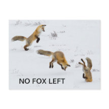 Funny "No Fox Verlassen"