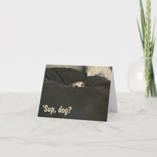Funny Note Card for Those Who Love Dogs Karte
