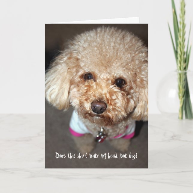 Funny obtenir la carte de bien (Devant)