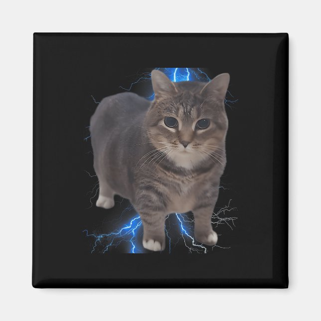Funny Oiia Oiia Spinning Cat Meme Cat Brainrot Magnet (Vorne)