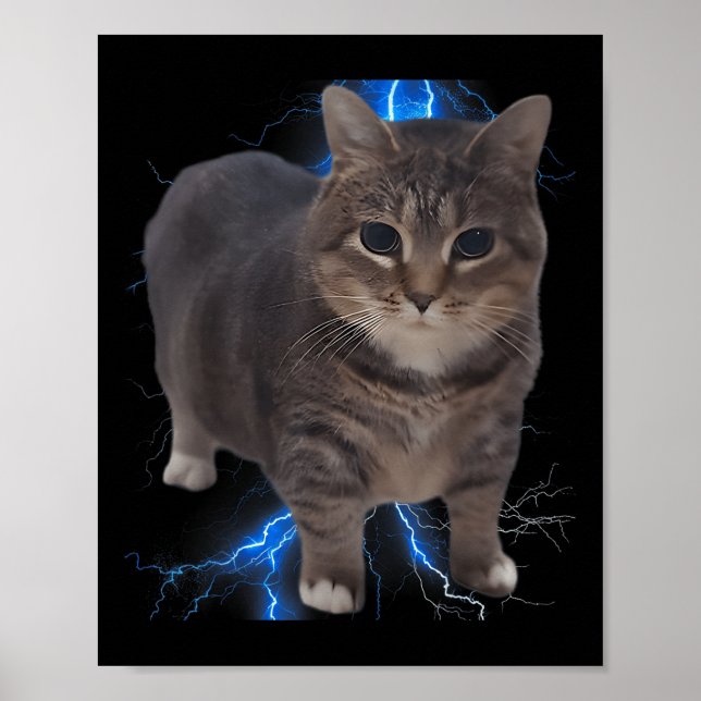 Funny Oiia Oiia Spinning Cat Meme Cat Brainrot Poster (Vorne)