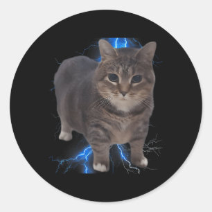 Funny Oiia Oiia Spinning Cat Meme Cat Brainrot Runder Aufkleber