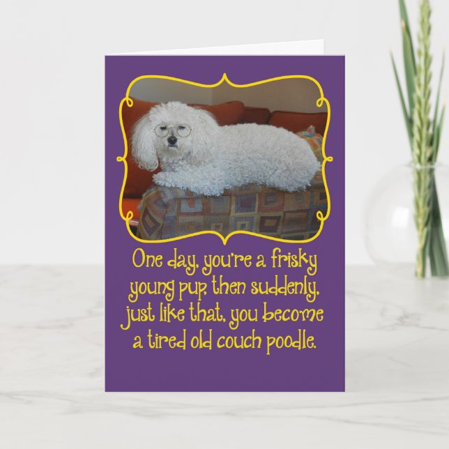 Funny Old Couch Poodle Geburtstagskarte Karte (Vorderseite)