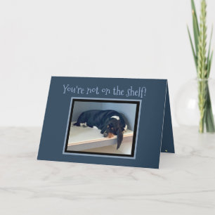 Funny "On The Shelf" Birthday w/Celebrating Basset Karte